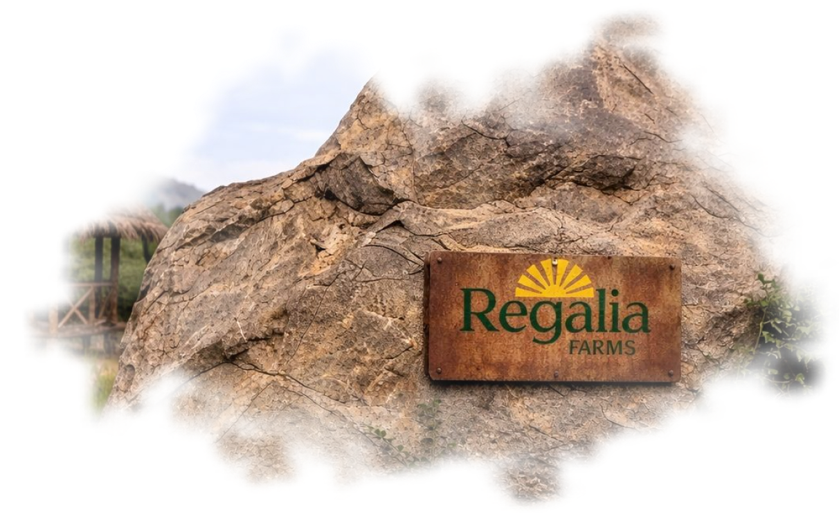 Monolith rock at Regalia Farms