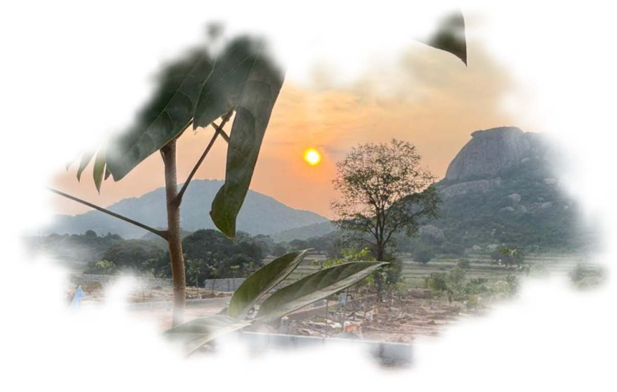 Sunset philosophy at Regalia Farms