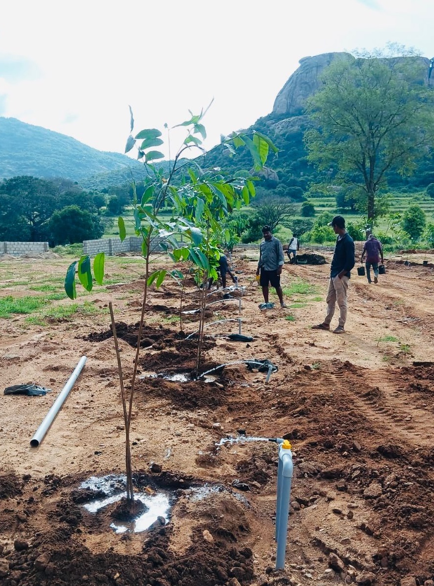 Regalia Farms Gallery Image 2