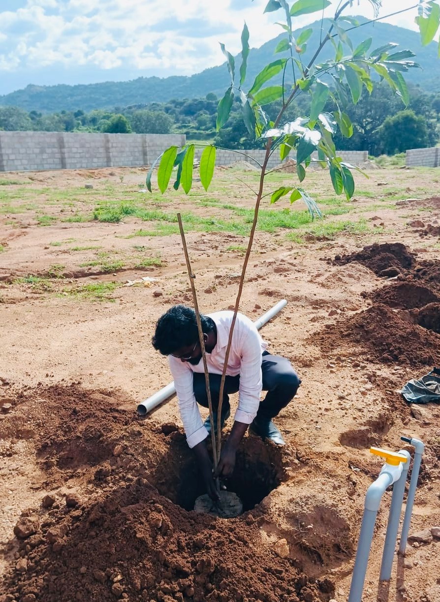 Regalia Farms Gallery Image 3