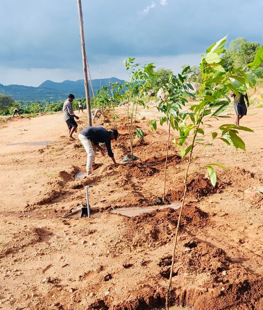 Regalia Farms Gallery Image 7