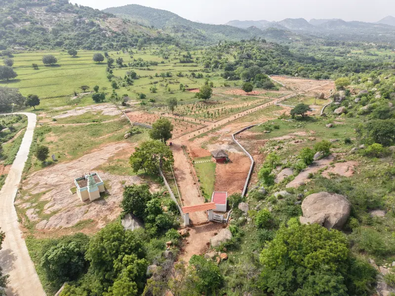 Regalia Farms drone photo