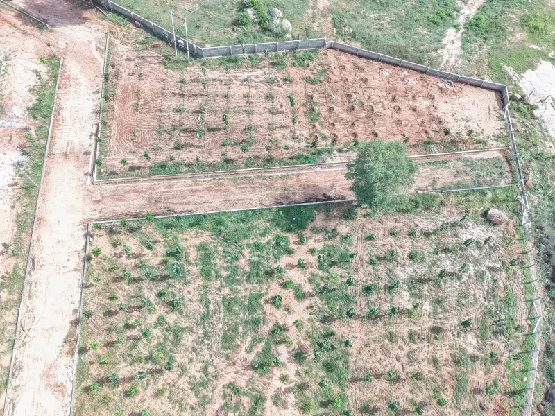Regalia Farms drone photo