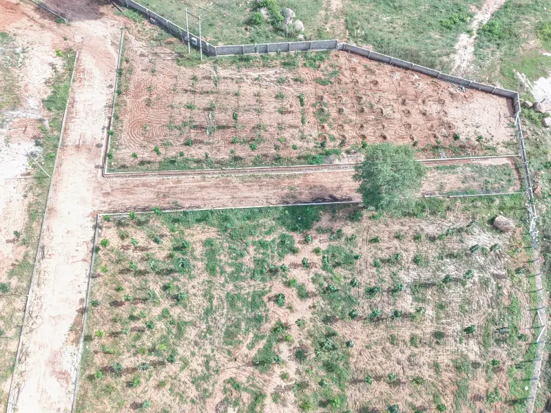 Regalia Farms drone photo