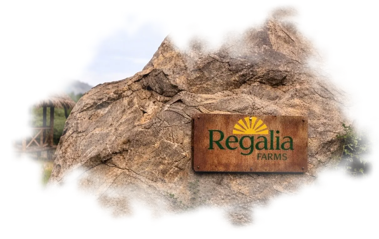 Monolith rock at Regalia Farms