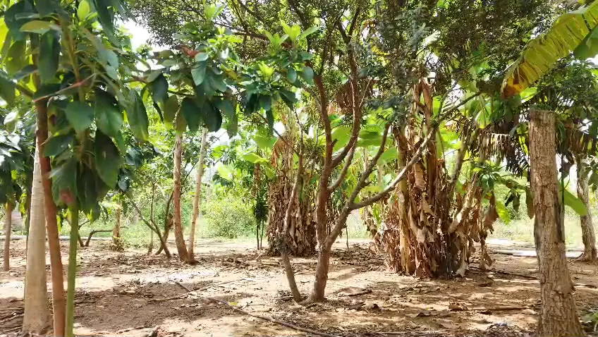 Sanctuary Farmlands video