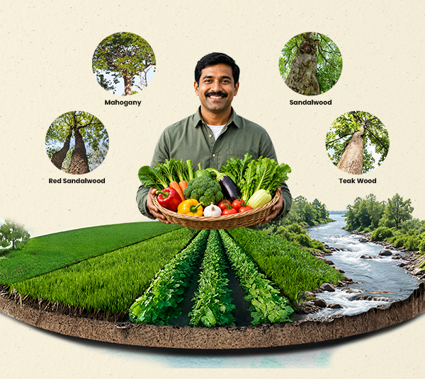 Farmer with fresh produce basket