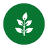 leaf-png