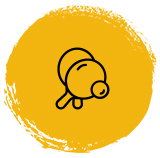 pickle-ballhover