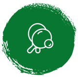 pickle-ball