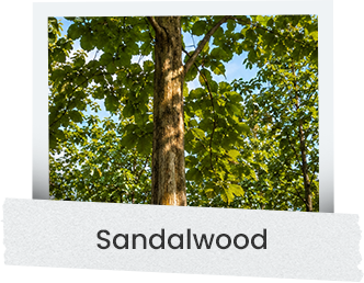 sandal